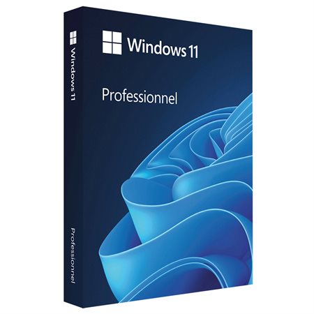 Windows 11 Professional Free Download